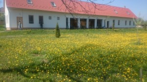 ház